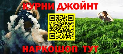 гашик Кимры