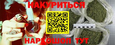 гашик Кимры
