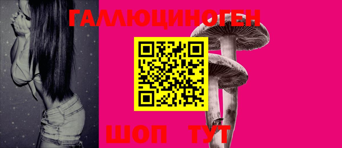 Галлюциногенные грибы Psilocybe Красноармейск